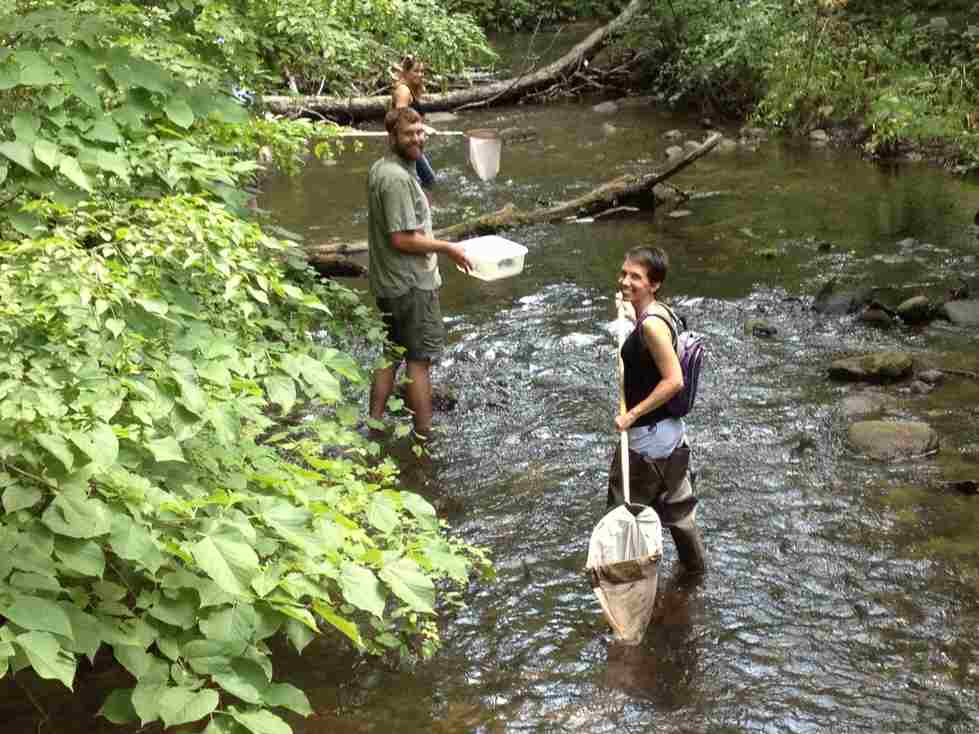 Teachers learning about watershed education